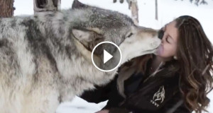 Une_loup-bisou-2-750x394