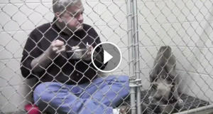 Une_vétérinaire-cage-2-750x394