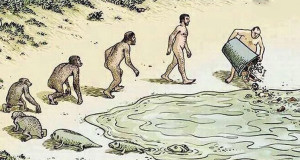 illustrations-evolution-une