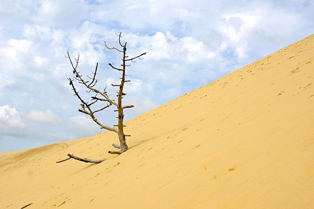 Dune-du-pilat-13