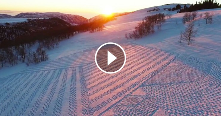 Une_snow-art-1-750x394