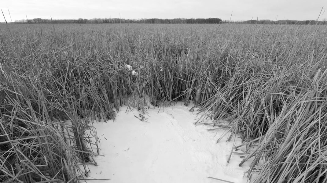 Vidéo-nature-stopmotion-10