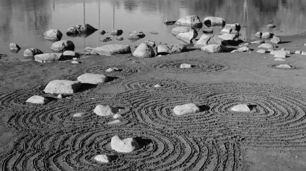 Vidéo-nature-stopmotion-3