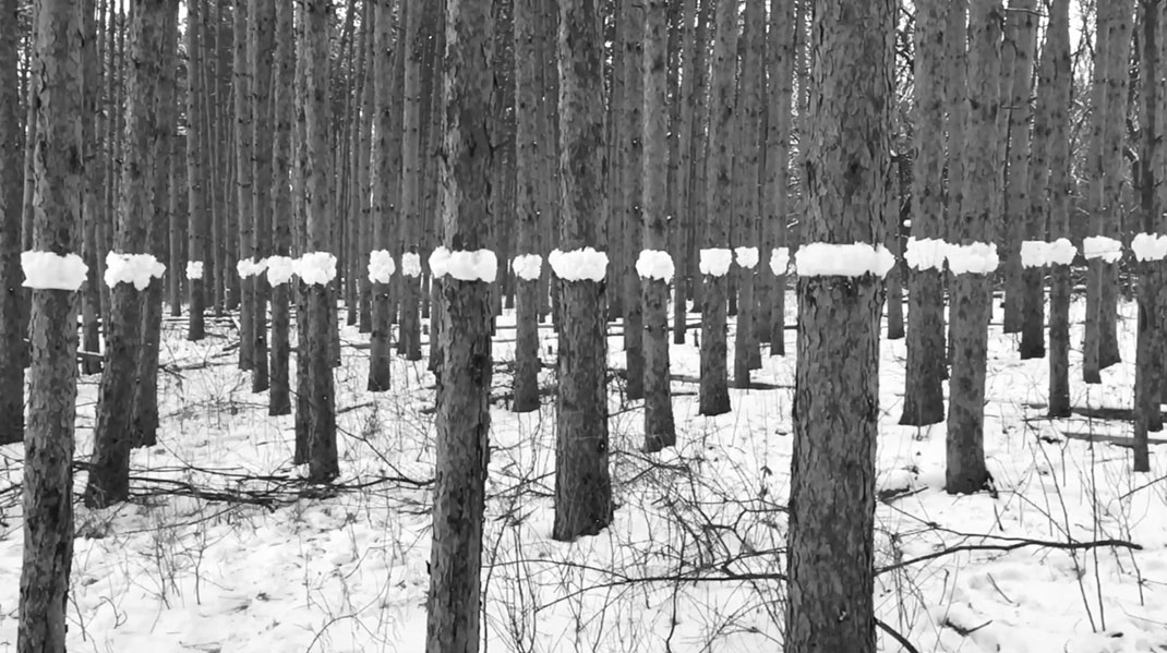 Vidéo-nature-stopmotion-7