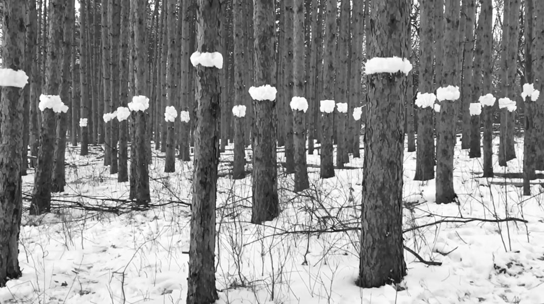 Vidéo-nature-stopmotion-8