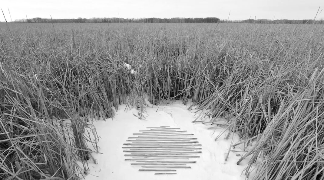 Vidéo-nature-stopmotion-9