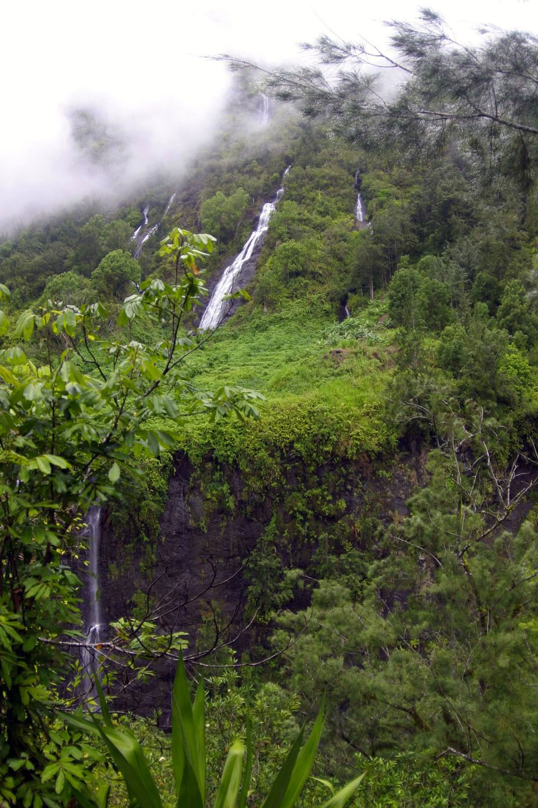 Voile-de-la-mariée-réunion-