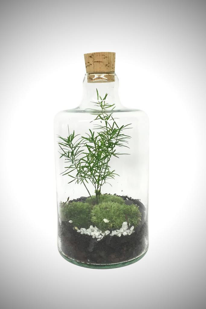 greenfactory-plantes-paris-1