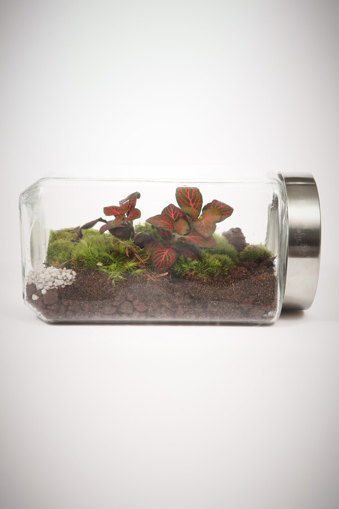 greenfactory-plantes-paris-10