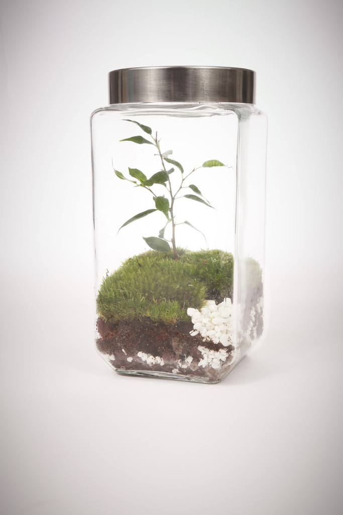 greenfactory-plantes-paris-11