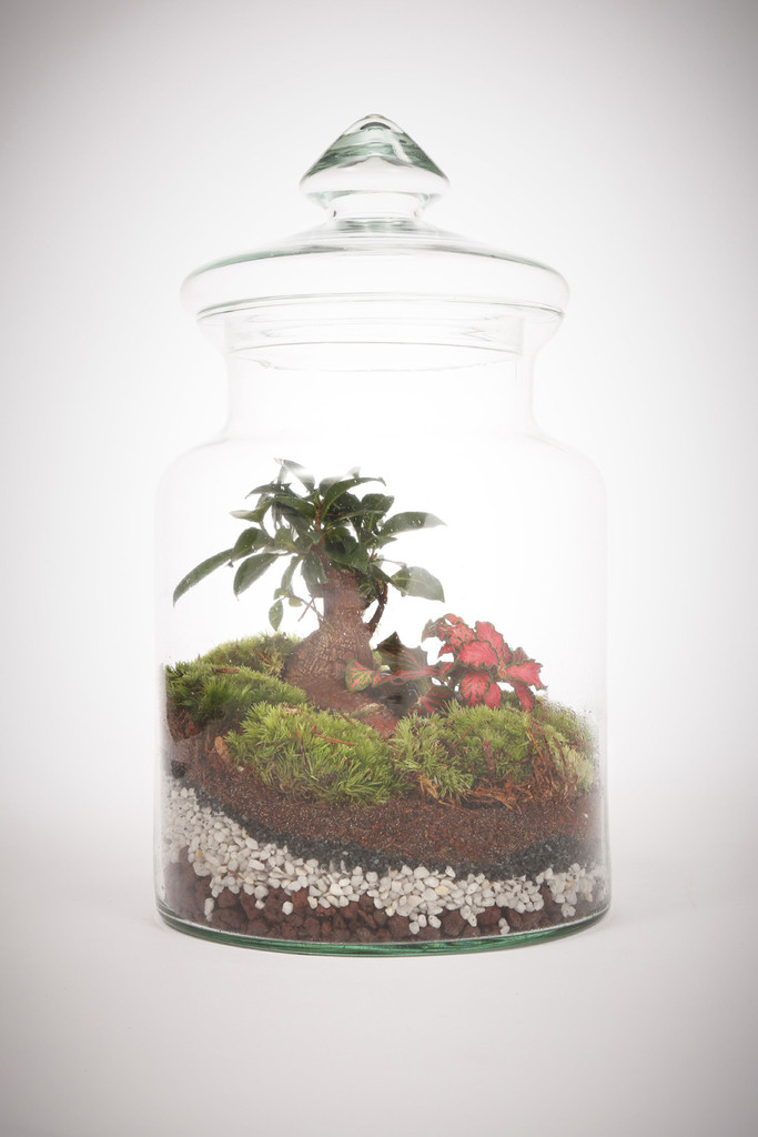 greenfactory-plantes-paris-12