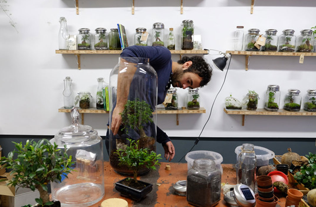 greenfactory-plantes-paris-14