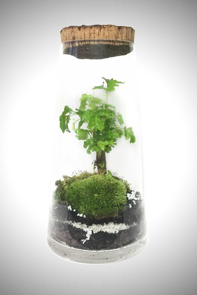 greenfactory-plantes-paris-2