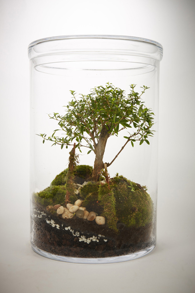 greenfactory-plantes-paris-3