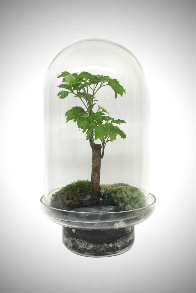 greenfactory-plantes-paris-4