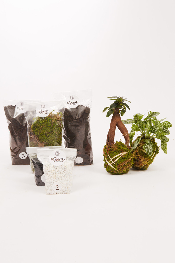 greenfactory-plantes-paris-5