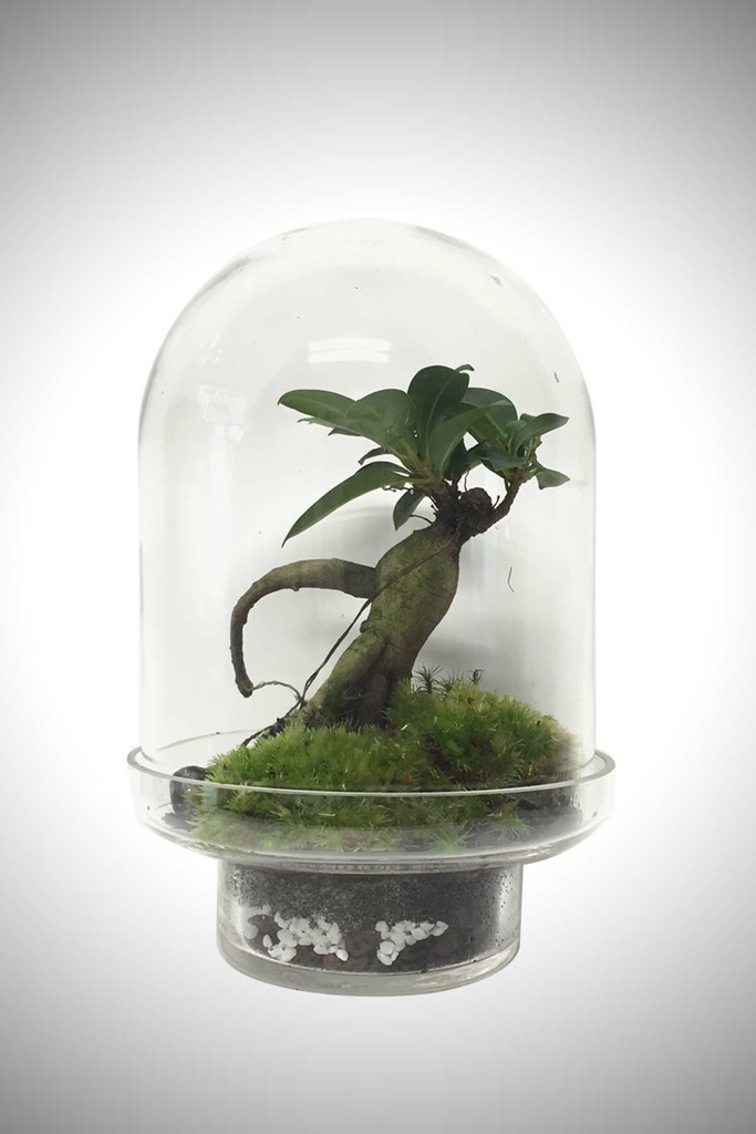 greenfactory-plantes-paris-6