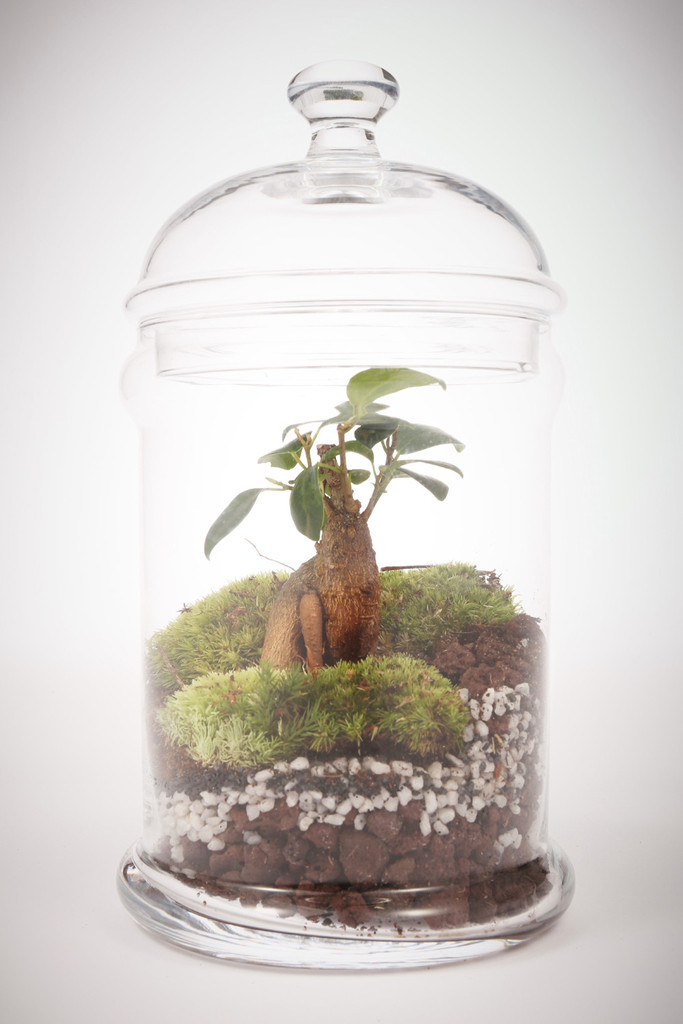 greenfactory-plantes-paris-7