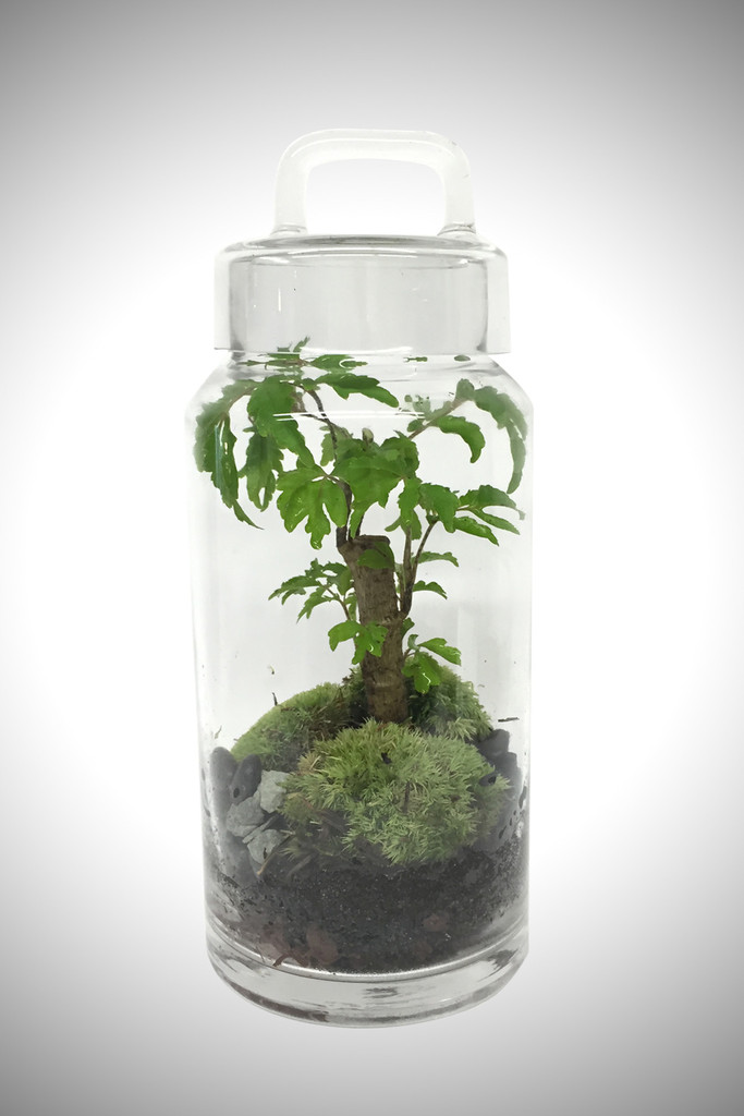 greenfactory-plantes-paris-8