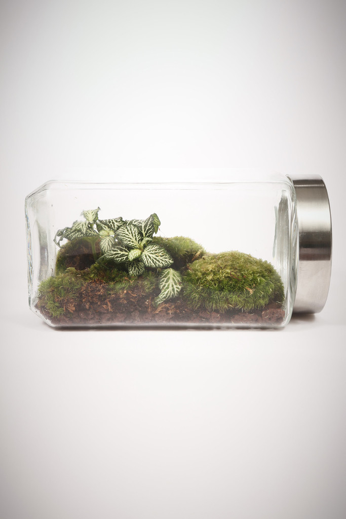 greenfactory-plantes-paris-9