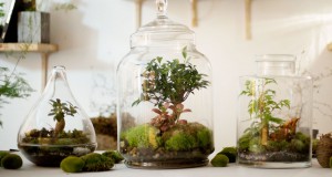 greenfactory-plantes-paris-une