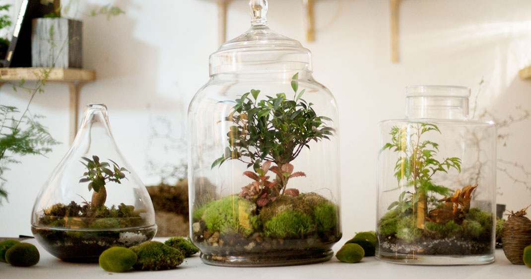 greenfactory-plantes-paris-une