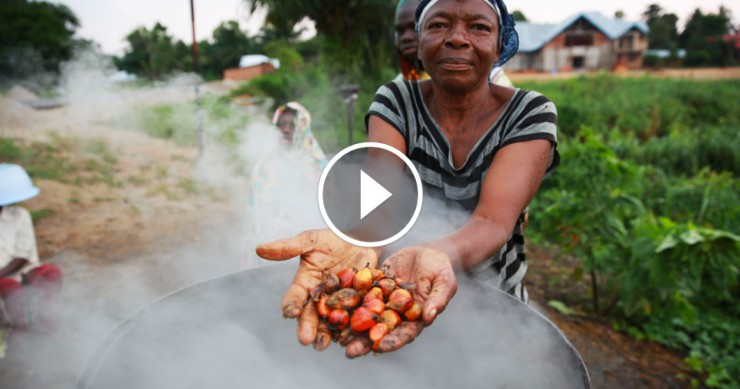 huile-palme-chiffres-monde-une