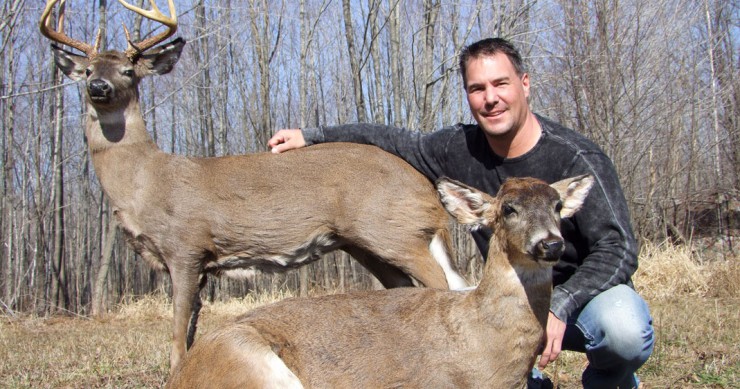 robots-animaux-braconniers-une