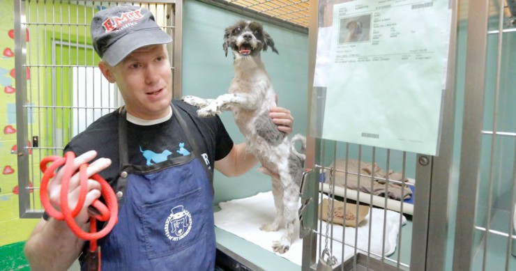 toilettage-chien-refuge-une