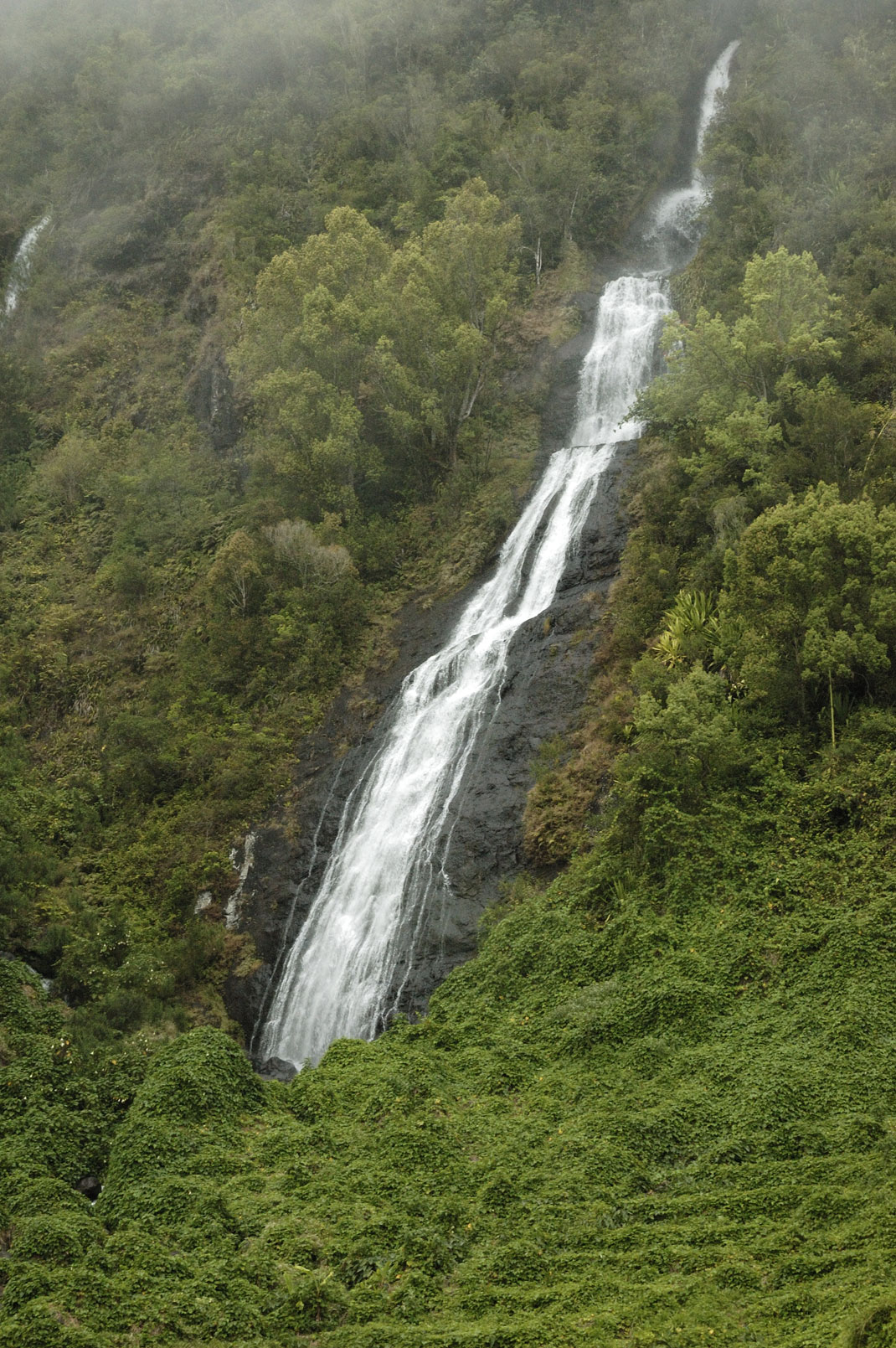 voile-de-la-mariée-proche