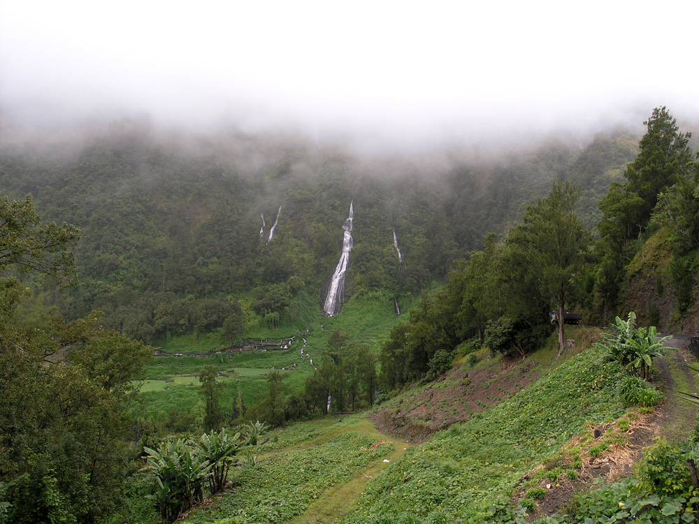 voile de la mariée richard stockwell