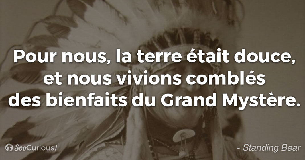 8-citation-Standing-Bear