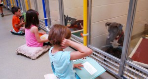 chiens-lecture-enfants-une