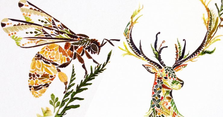 dessins-fougeres-nature-une