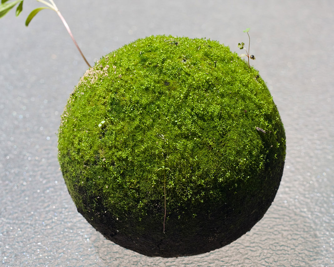 hikaru-dorodango-art-7