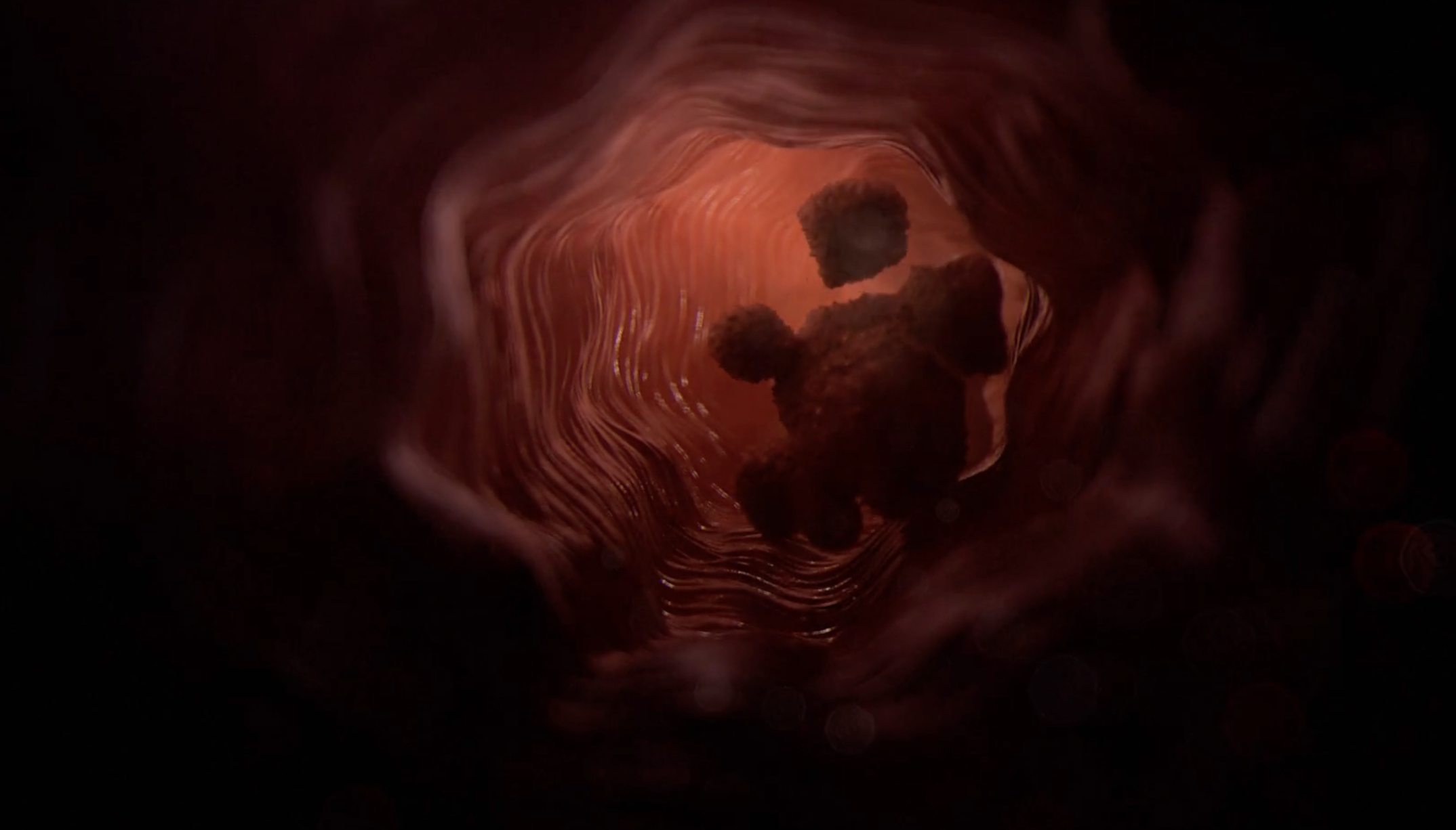 wrapped-animation-magnifique-10