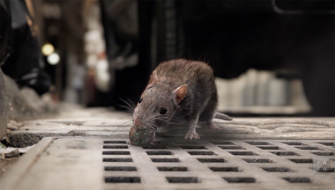 wrapped-animation-magnifique-21