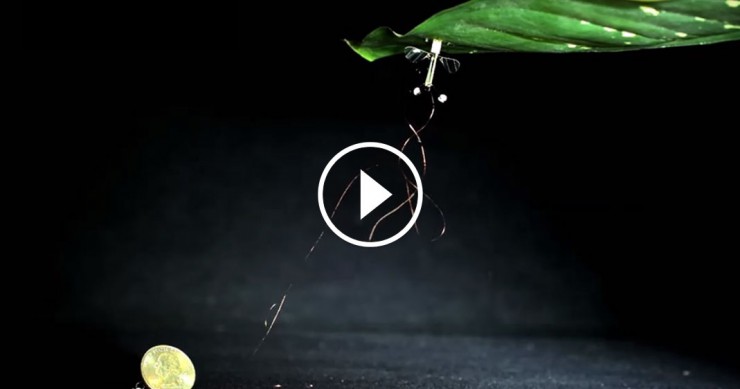 Un mini drone étonnant