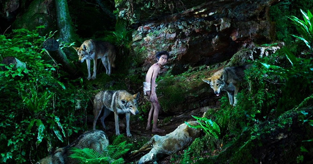 enfants-sauvages-animaux-une