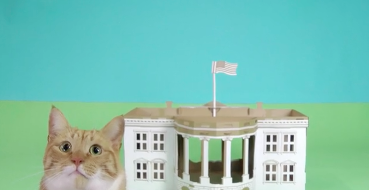 monument-carton-chat-1