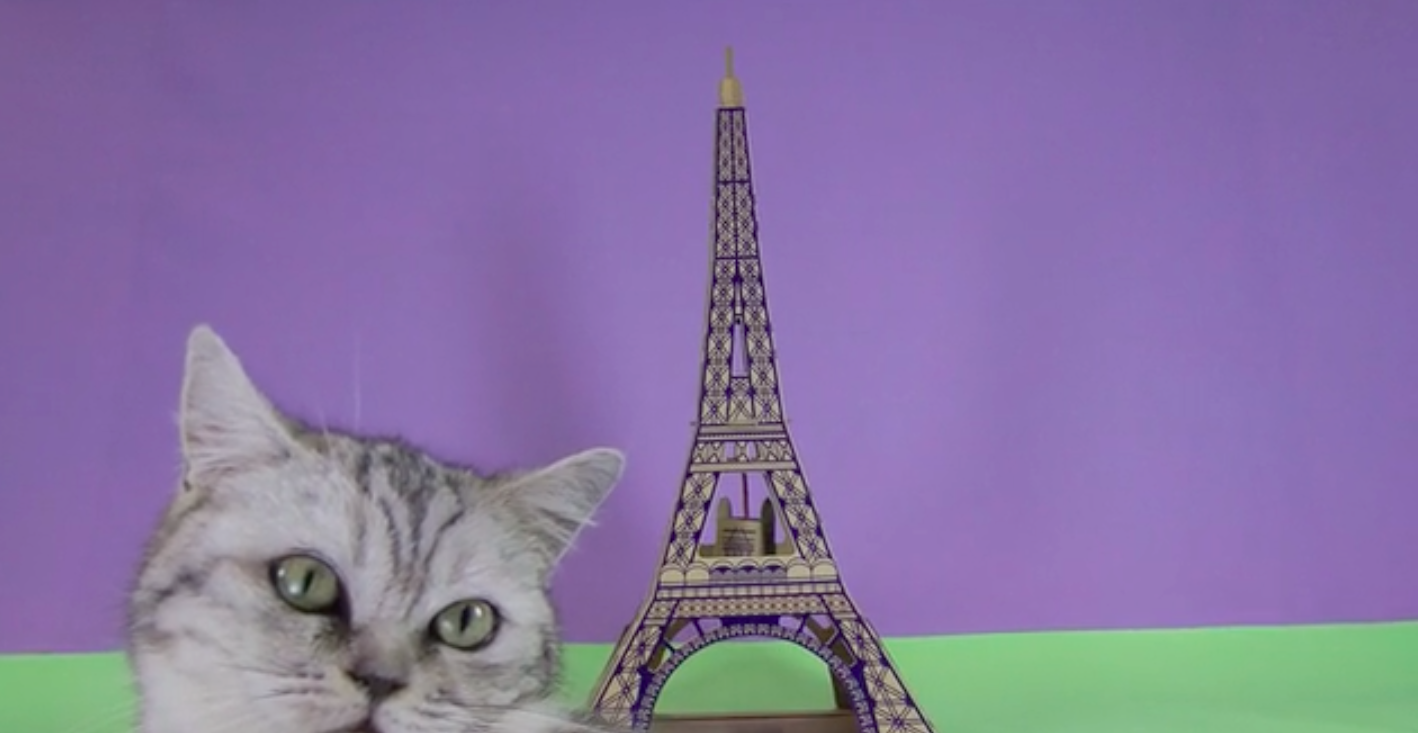 monument-carton-chat-2