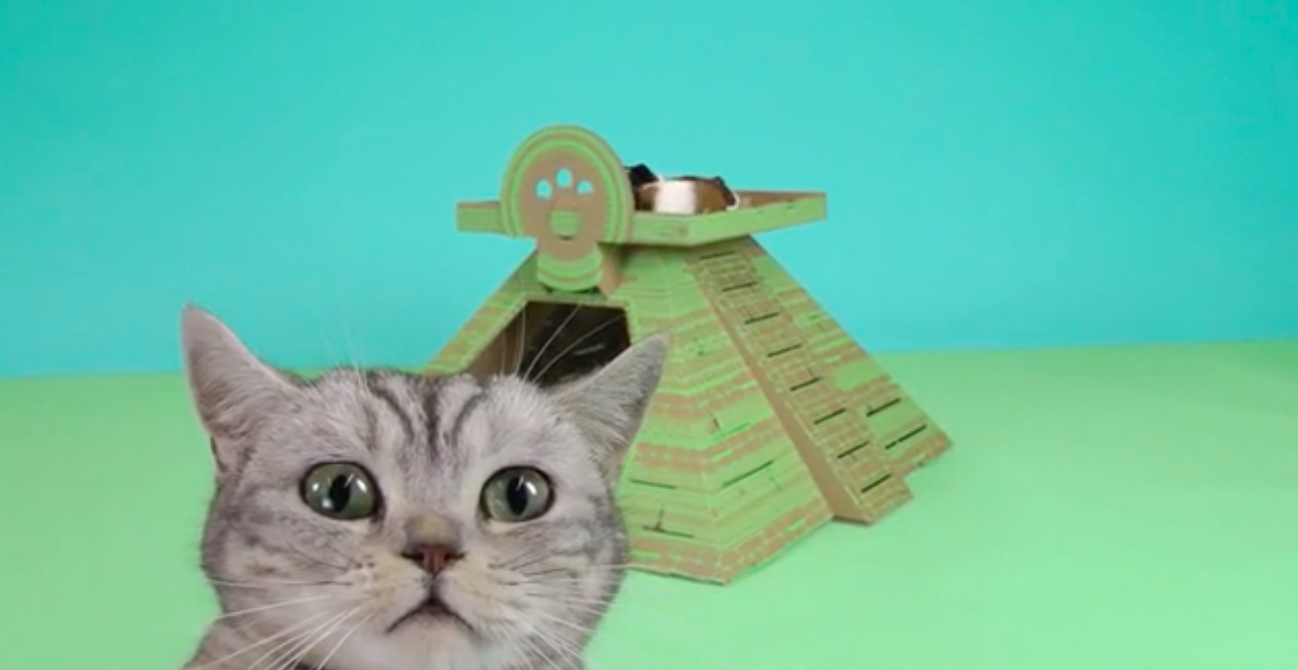 monument-carton-chat-3