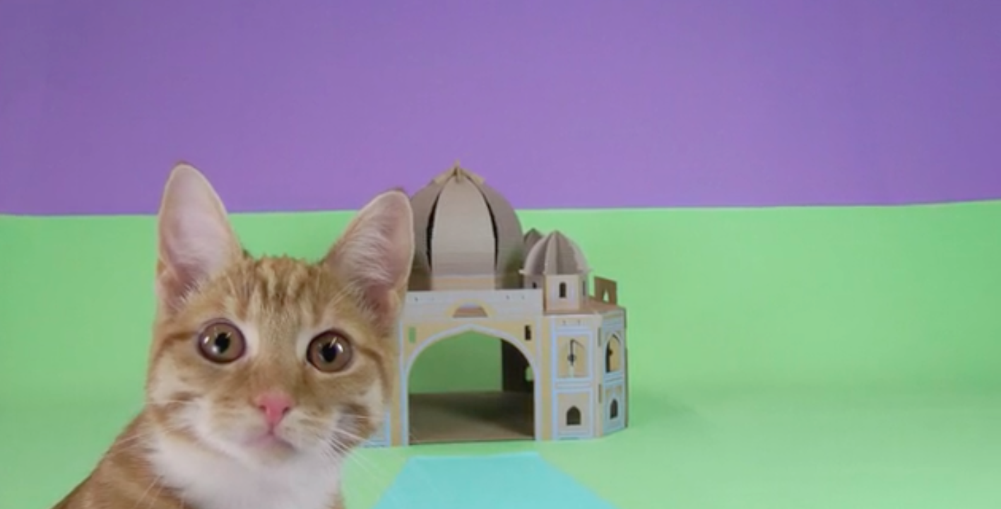 monument-carton-chat-4