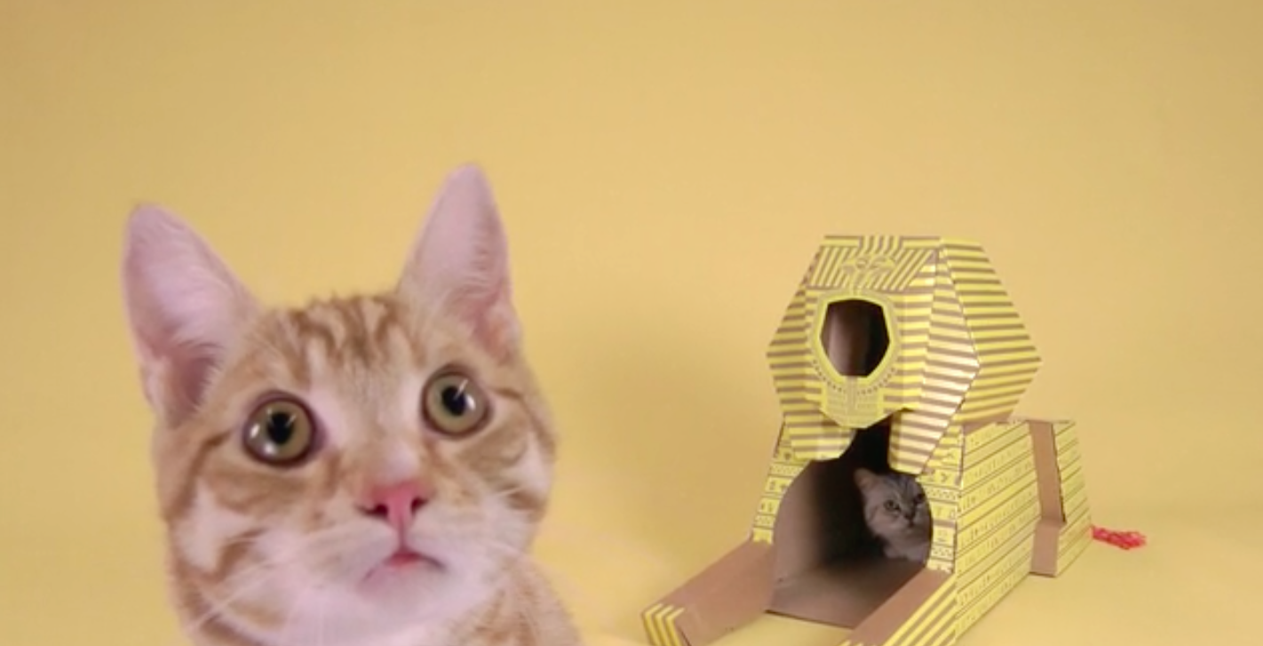 monument-carton-chat-5