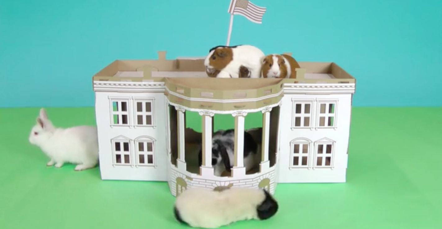 monument-carton-chat-6