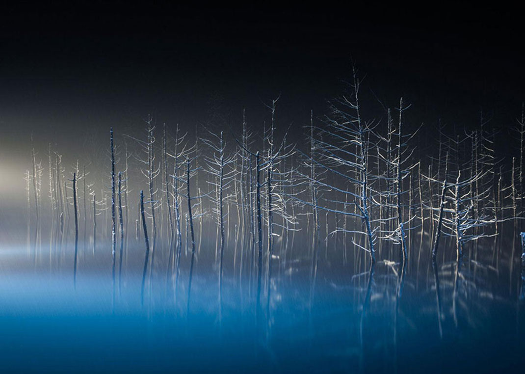Le danseur classique de Hiroshi Tanita, Japon
