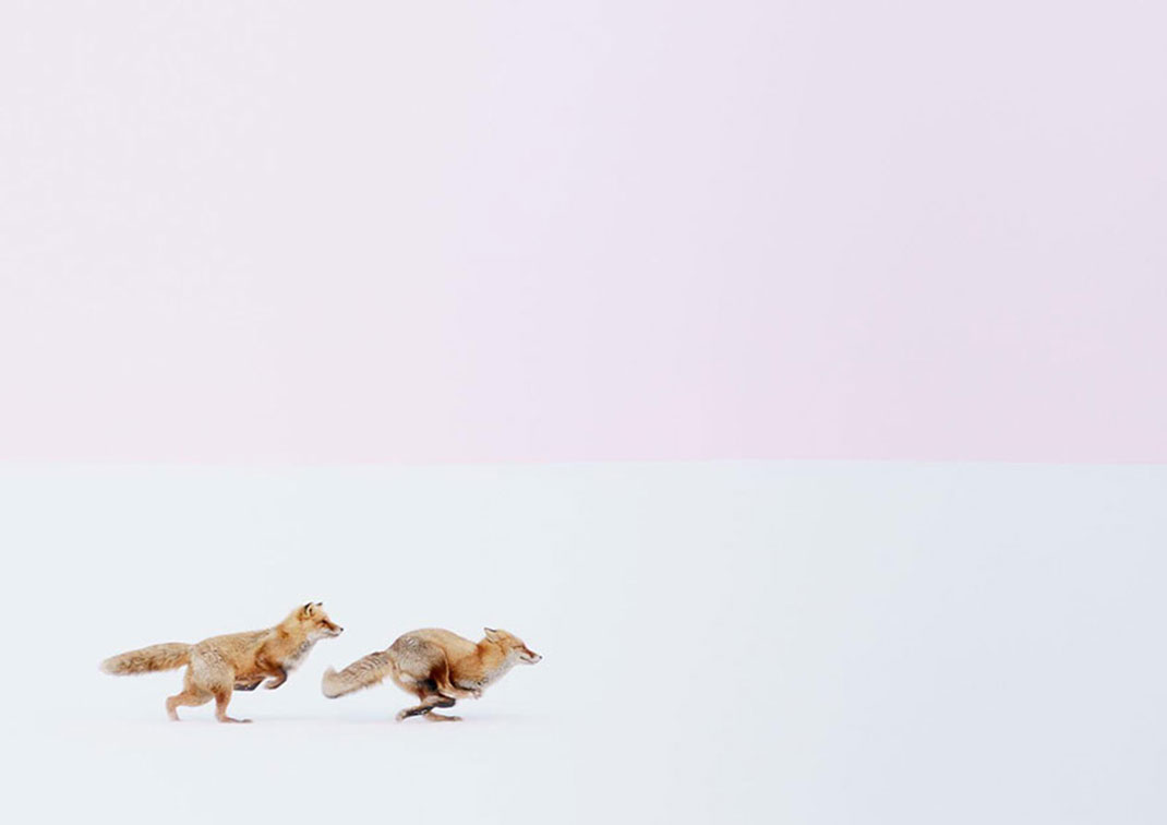 Peu importe où tu iras de Hiroki Inoue, je te suivrai. Japon