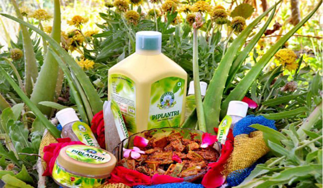 village-indien-arbres-7