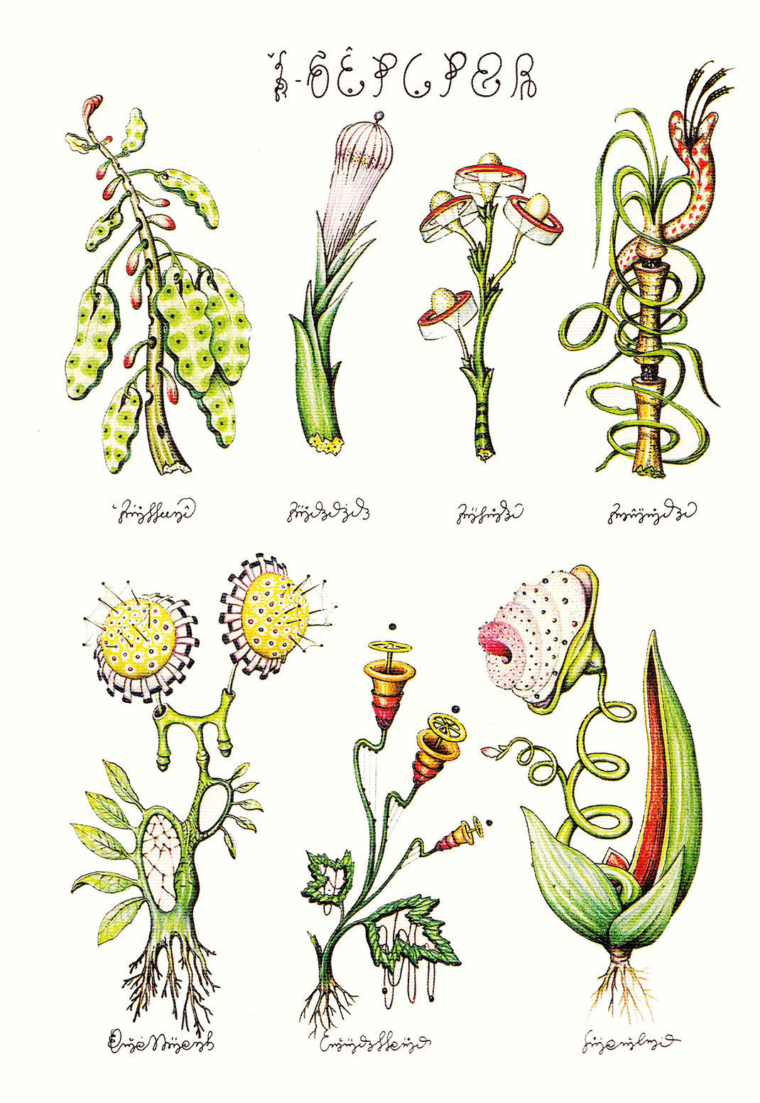 Codex-Seraphinianus-13