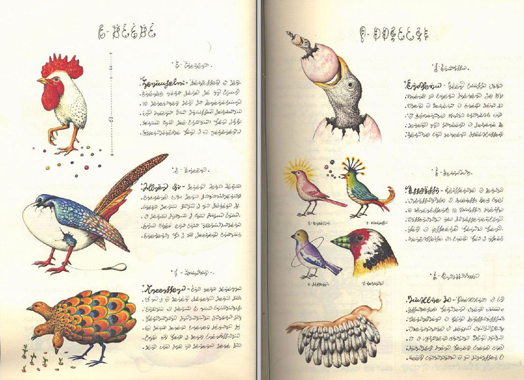 Codex-Seraphinianus-16